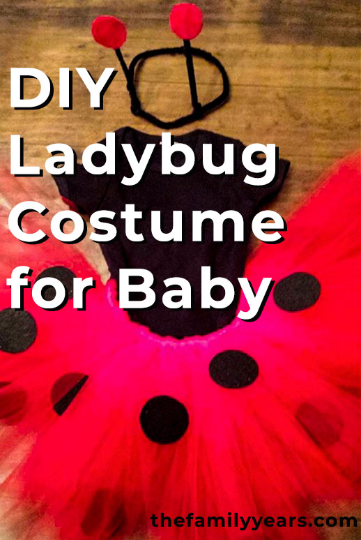 DIY Baby Ladybug Costume