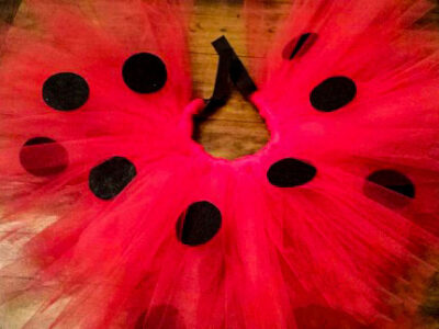 DIY Ladybug Costume Tutu