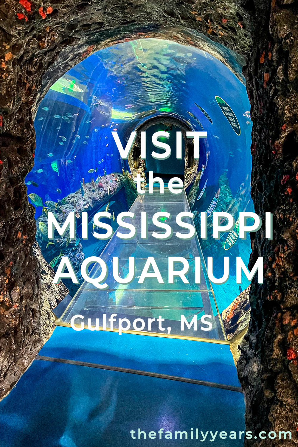 Visit the MS Aquarium