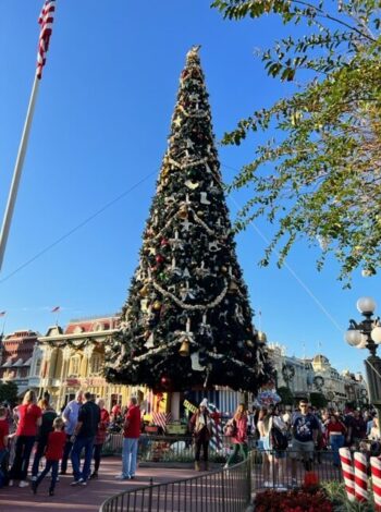 Christmas Decorations at Walt Disney World Magic Kingdom