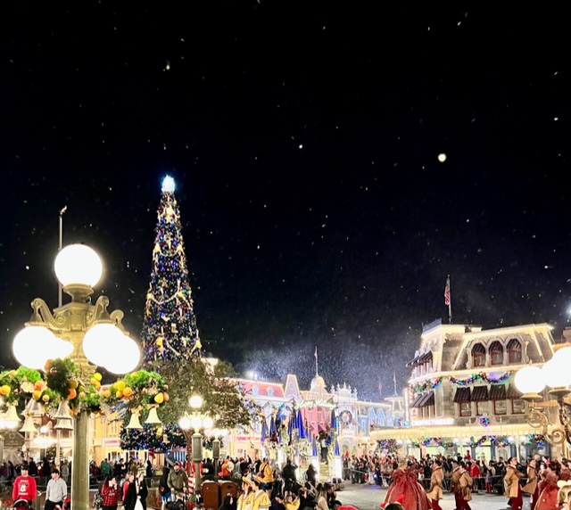 Snow at Magic Kingdom in Walt Disney World