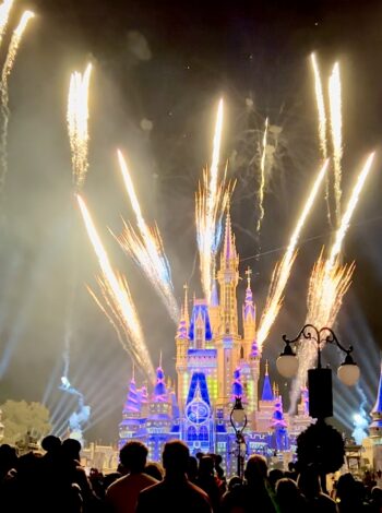 Minnie's Wonderful Christmastime Fireworks Show