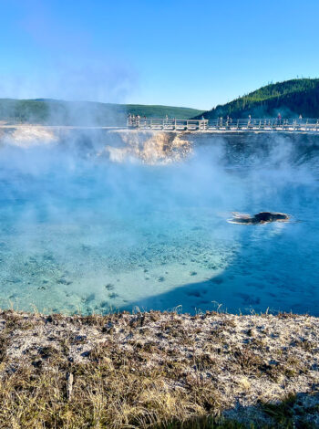 Grand Prismatic Boardwalk One Day Yellowstone Itinerary