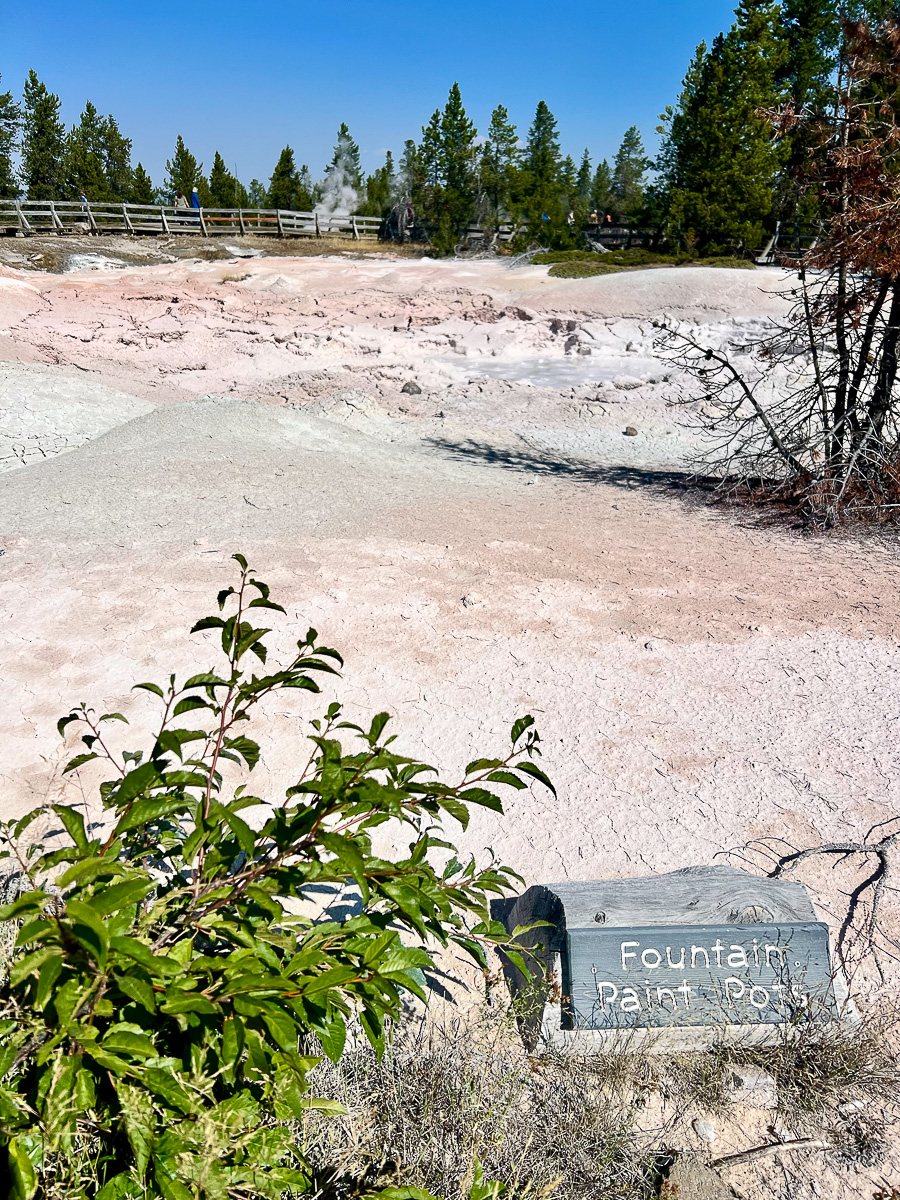 Fountain Paint Pots Yellowstone