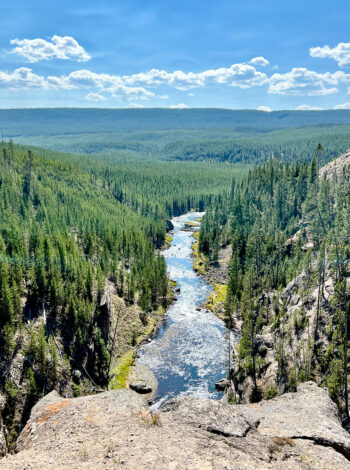 Gibbon Falls Yellowstone