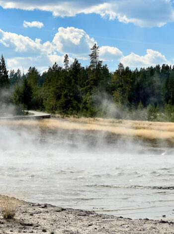 Mud Volcano Trail Yellowstone