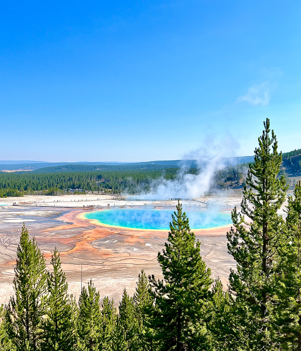 Grand Prismatic at Yellowstone National Park One Day Itinerary